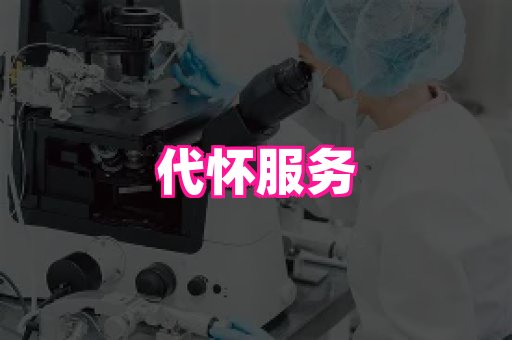 乐乐助孕网 2